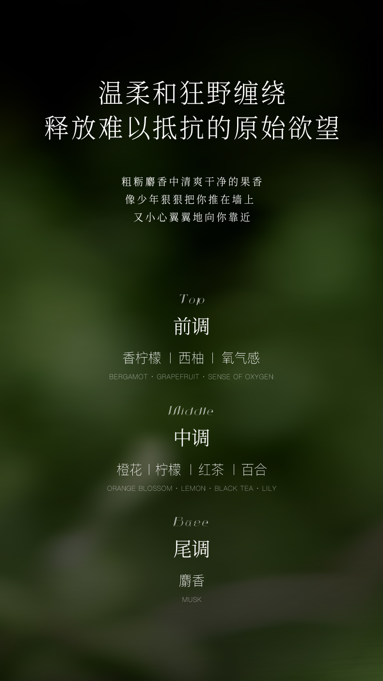 商品详情